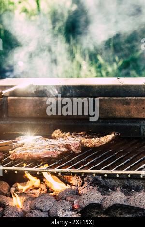 A close-up shot of grilled meat on a brick barbecue. The meat is sizzling and smoking, with white smoke billowing up from the grill Stock Photo