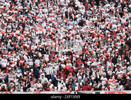 Sao Paulo, Brazil. 30th June, 2024. Soccer Football - Brazilian  Championship - Sao Paulo v Bahia - Morumbi Stadium, Sao Paulo, Brazil - June 30, 2024  São Paulo fans during a match.  Credit: Vilmar Bannach/Alamy Live News Stock Photo