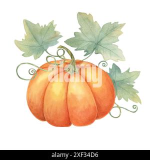 Orange pumpkin with green leaves and tendrils. Squash illustration. Watercolor clipart for Thanksgiving decorations, fall festival posters, and harvest-themed invitations, postcards, flyers, blogs Stock Photo