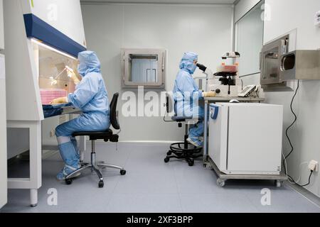 Clean room, preparing DMEM in laminar flow cabinet and culture observation through the microscope, biopharmaceutical lab, development and production o Stock Photo
