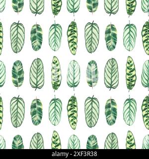 Tropical leaves seamless pattern, watercolor jungle vibrant green plants leaf Summer exotic foliage. Hand drawn illustration for wallpaper, textiles Stock Photo