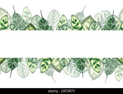 Tropical green leaves seamless banner Jungle plants. Summer realistic exotic leaf foliage. Hawaiian horizontal repeat template for wrapping label Hand Stock Photo