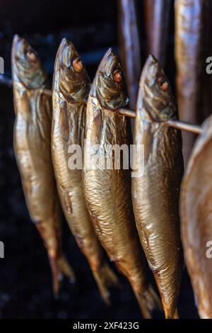 geography / travel, Germany, Mecklenburg-Western Pomerania, Smoker with mackerels at Prerow, ADDITIONAL-RIGHTS-CLEARANCE-INFO-NOT-AVAILABLE Stock Photo