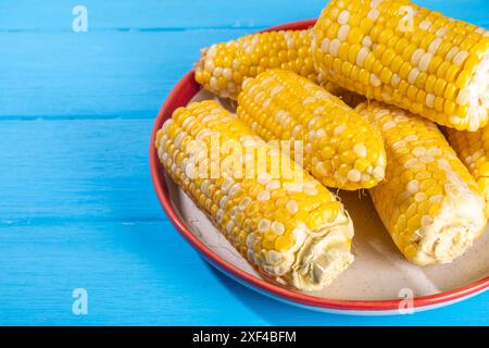 Sweet boiled corn cobs portions on plate, copy space Stock Photo