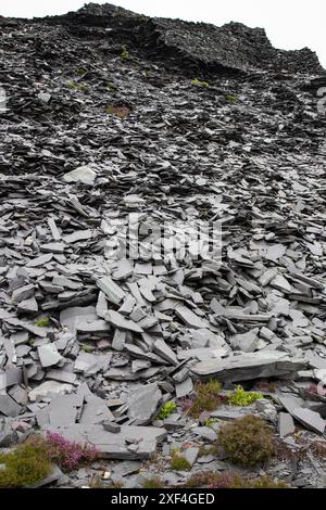 Large rubble pile of slate at the now abandoned Dinorwig slate quarries near Llanberis which closed in August 1969 after 200 years of slate production Stock Photo