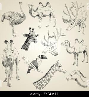 vector set of sketches of animals Stock Vector