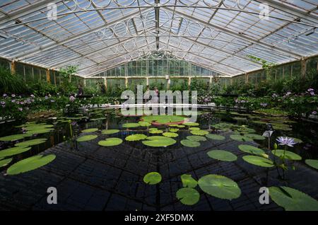 The Waterlily House at Kew Gardens in London Stock Photo