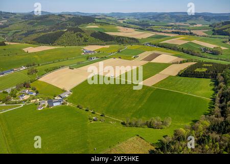 Aerial view, hilly landscape with forest, tiled structures meadows and fields, huts in the fields, Bödefeld, Schmallenberg, Sauerland, North Rhine-Wes Stock Photo