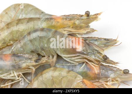 raw shrimp, close-up, isolated on a white background Stock Photo
