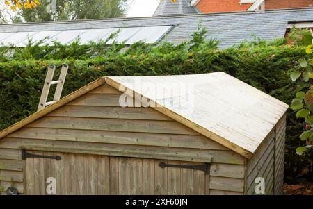 Wooden shed after removing old felt roof. Part of a series showing a felt roof being replaced on a shed in a UK garden. Stock Photo