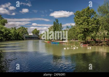 A person sitting on the steps of the car park in front of the Jardin del Parterre looking at the ducks on the Tagus River in Aranjuez. Madrid. Spain, Stock Photo