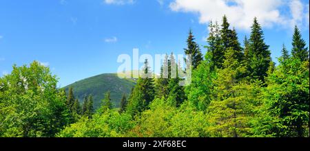 Amazing mountain landscape - natural outdoor travel background. Beauty world. Wide photo. Stock Photo