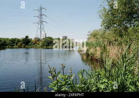 Reservoir in Walthamstow Wetlands, London UK, in late spring Stock Photo