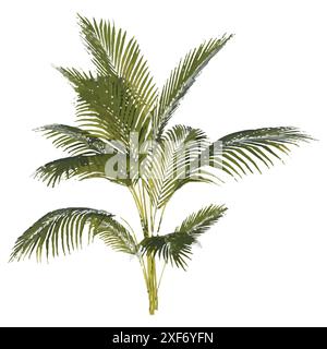 Flower Tree White Background 3D Rendering Ilustracion. Stock Vector