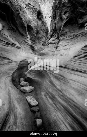 Utah, Emery County. Little Wildhorse Canyon Stock Photo