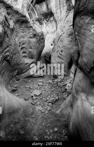 Utah, Emery County. Little Wildhorse Canyon Stock Photo