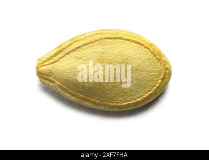 Yellow Zuccinni Seed Cut Out on White. Stock Photo