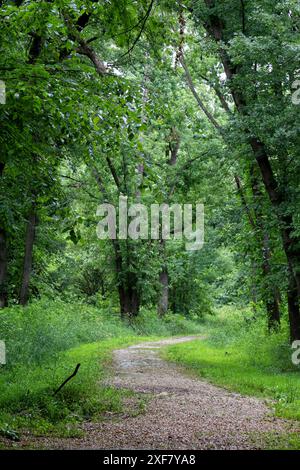 Nature Shots Stock Photo