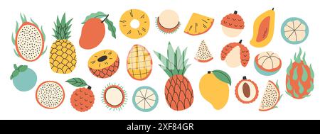 Set of different exotic fruits. Collection of organic vitamins and healthy nutrition. Pitahaya, pineapple, mango, lychee Stock Vector