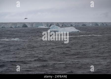 Iceberg A23a , the largest iceberg in the world, floating in the Southern Ocean close to the Antarctic Peninsular. Stock Photo