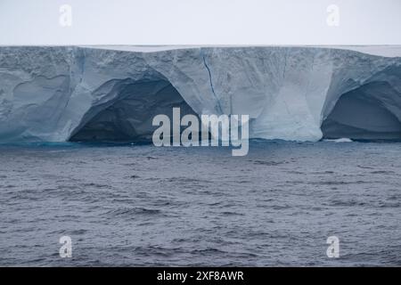 Iceberg A23a , the largest iceberg in the world, floating in the Southern Ocean close to the Antarctic Peninsular. Stock Photo