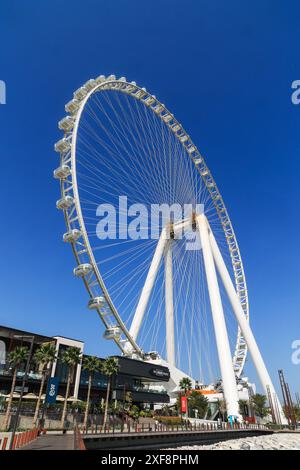 Dubai, UAE - February 24. 2023: Dubai Eye or Al Ain huge wheel on Bluewaters Island for entertainment and shoppings Stock Photo