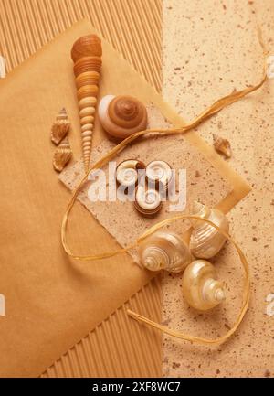 zoology, various shaped shells on a mixture of paper backgounds , ADDITIONAL-RIGHTS-CLEARANCE-INFO-NOT-AVAILABLE Stock Photo