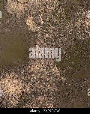 Abstract rough texture with brown and beige colors creating a grunge, distressed artistic feel Stock Photo