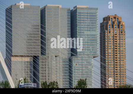 Modern skyscrapers with glass facades and many windows in a city, Rotterdam, Netherlands Stock Photo