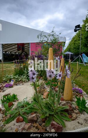 London, UK, 1st July 2024, RHS Hampton Court Palace Garden Festival opens on 2nd to 7th July 2024. UK’s leading gardening charity, spreading the shared joy of gardening to wide-reaching audiences., Andrew Lalchan Photography/Alamy Live News Stock Photo