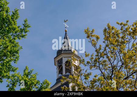 A historic church tower with a weather vane and a clock, surrounded by green trees and blue sky, ootmarsum, Netherlands Stock Photo