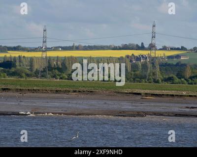 Electricity pylons in a green landscape with fields and houses, Tilbury, England, Great Britain Stock Photo