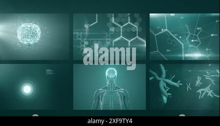 Image of dna helix rotating over digital screens with medical structures Stock Photo