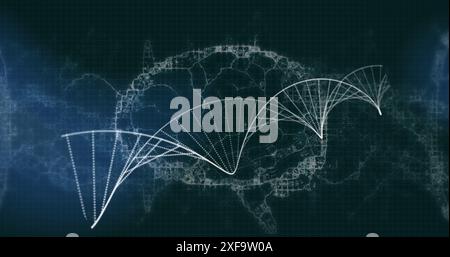 Image of dna strand spinning over human brain Stock Photo