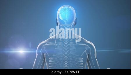 Image of glowing light over human body with brain Stock Photo