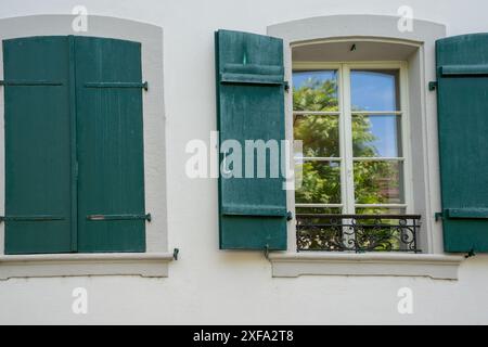 Two windows in the wall of a house with old fashioned green window shutters. One shutter is open, one closed. Reflection of trees and blue sky in the Stock Photo