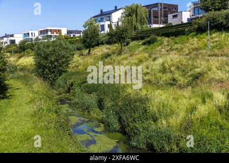 bed of the renaturalized Emscher in front of luxury properties on Lake ...