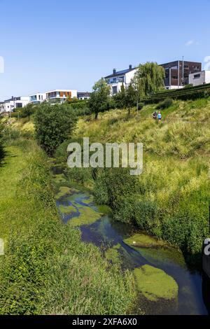 bed of the renaturalized Emscher in front of luxury properties on Lake ...