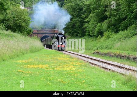 Sir Archibald Sinclair a Battle of Britain class locomotive exiting a tunnel on The Bluebell railway. Stock Photo