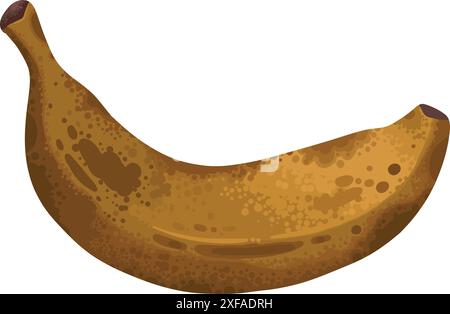 Banana ripeness stage. Different organic fruit peel color from green to ...