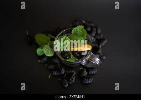 cold homemade mojito, soda with the mulberry Stock Photo