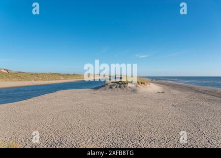 Camperduin beach, Schoorl, North Holland, Netherlands Stock Photo - Alamy