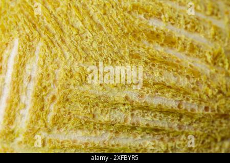 A yellow surface with a grainy texture. The yellow color is dominant, and the texture gives the surface a rough and uneven appearance. Scene is somewh Stock Photo