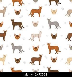 Abyssinian cat seamless pattern. All coat colors set. All cat breeds ...