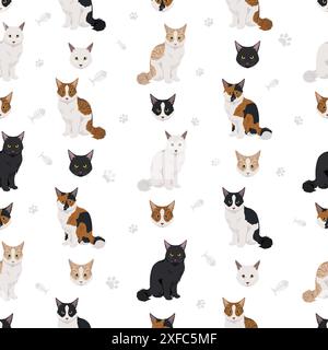 American Polydactyl cat seamless pattern. All coat colors set.  All cat breeds characteristics infographic. Vector illustration Stock Vector