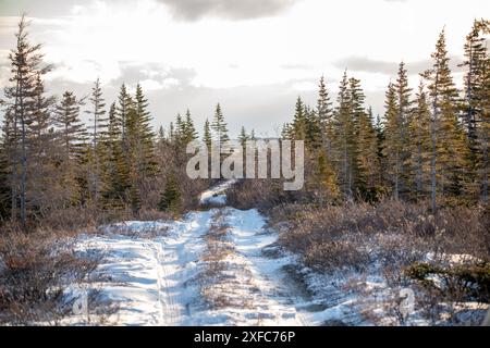 Snowy covered backroad in northern Manitoba, Churchill during fall, polar bear season Stock Photo