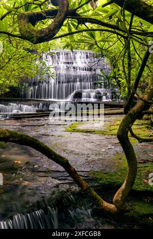 Grogan Creek Falls (or Falls on Grogan Creek) - Butter Gap Trail, Pisgah National Forest, near Brevard, North Carolina, USA Stock Photo