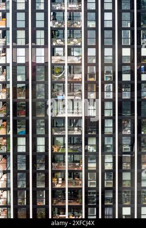 Windows and balconies of flats in a Dutch tower block, Amsterdam. Stock Photo