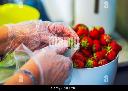 Close-up of hands in gloves slicing strawberries in home kitchen. Stock Photo