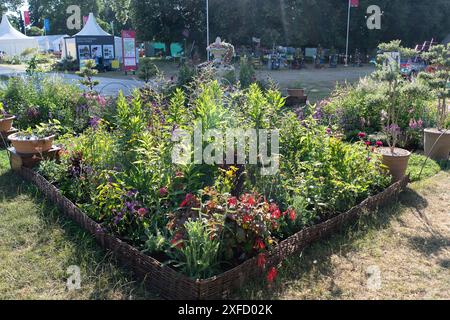 East Molesey, Surrey, UK. 1st July, 2024. The Formal Gardening for Wildlife by the RHS Garden Wisley Horticulturists at the RHS Hampton Court Palace Garden Festival in East Molesey, Surrey. Credit: Maureen McLean/Alamy Stock Photo